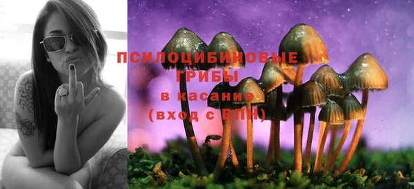 трава Козельск