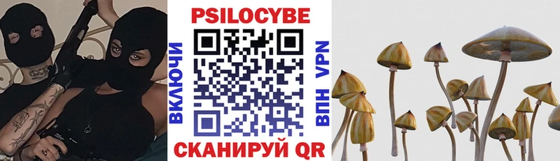 Галлюциногенные грибы мицелий  купить   Скопин 