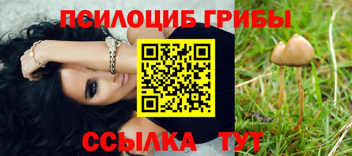Скопин  Галлюциногенные грибы ЛСД  Псилоцибиновые грибы Cubensis  Вход с VPN 